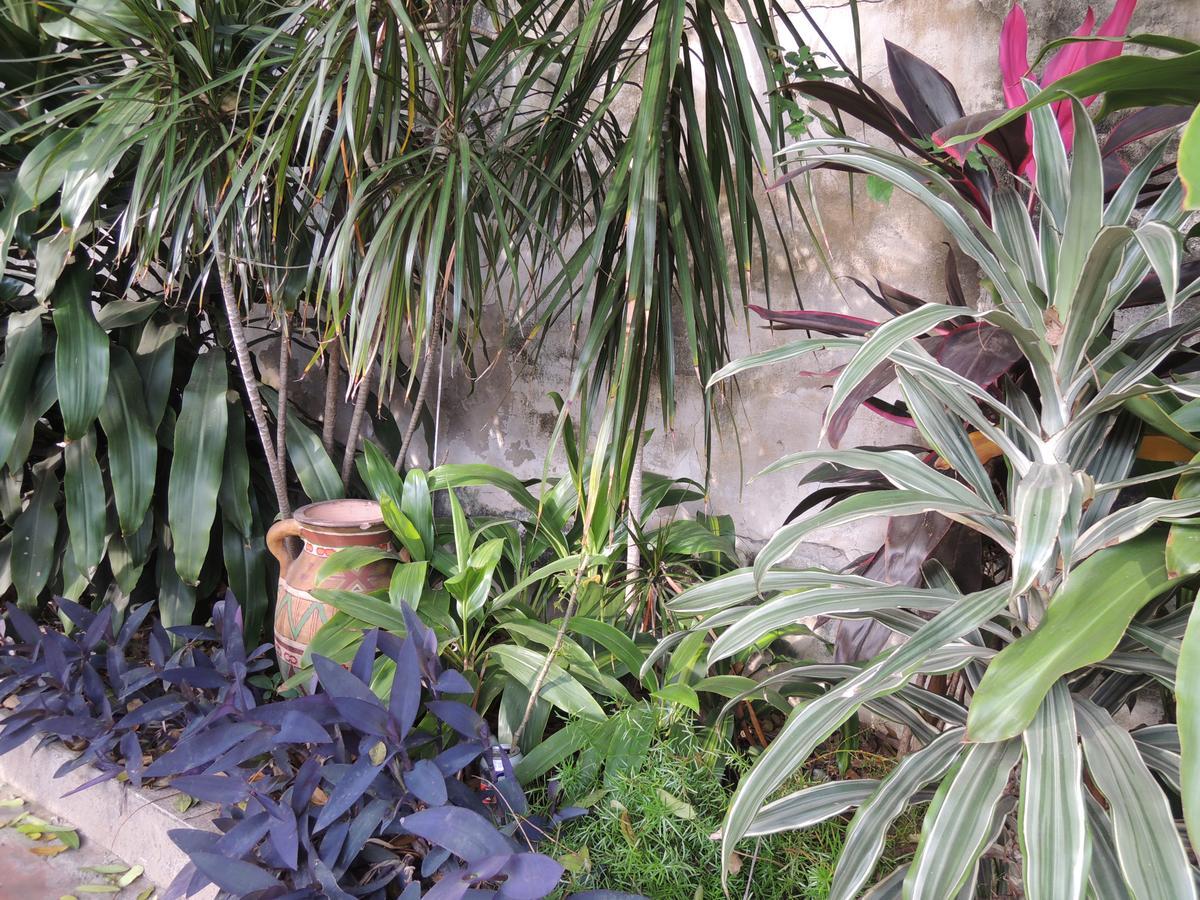 Isla Francia Hostel Ασουνσιόν Εξωτερικό φωτογραφία